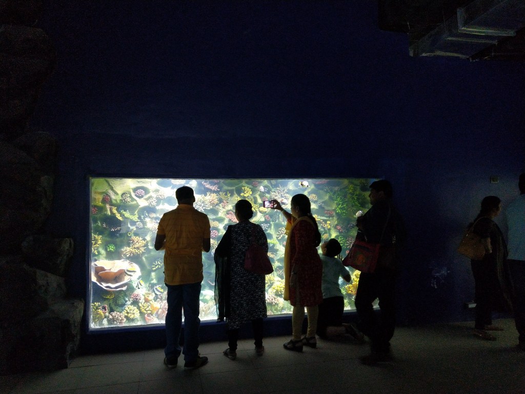 family looking at fishtank