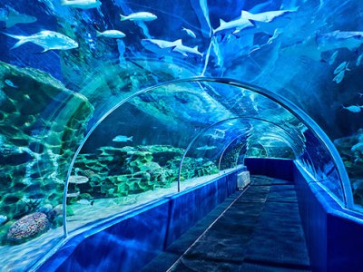 VGP Marine Kingdom: A Fascinating Underwater Experience in&nbsp;Chennai