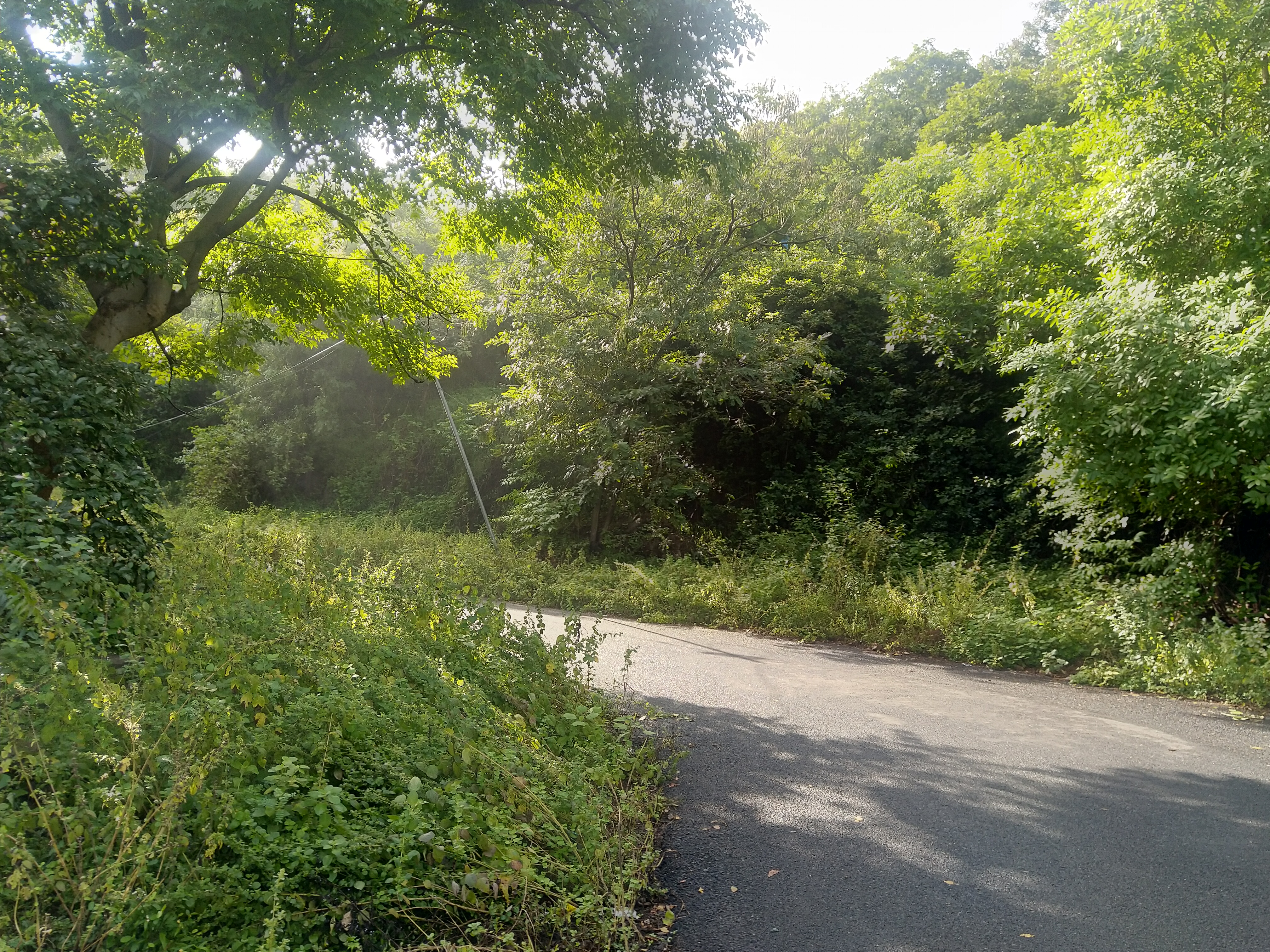 Forest area in chennai