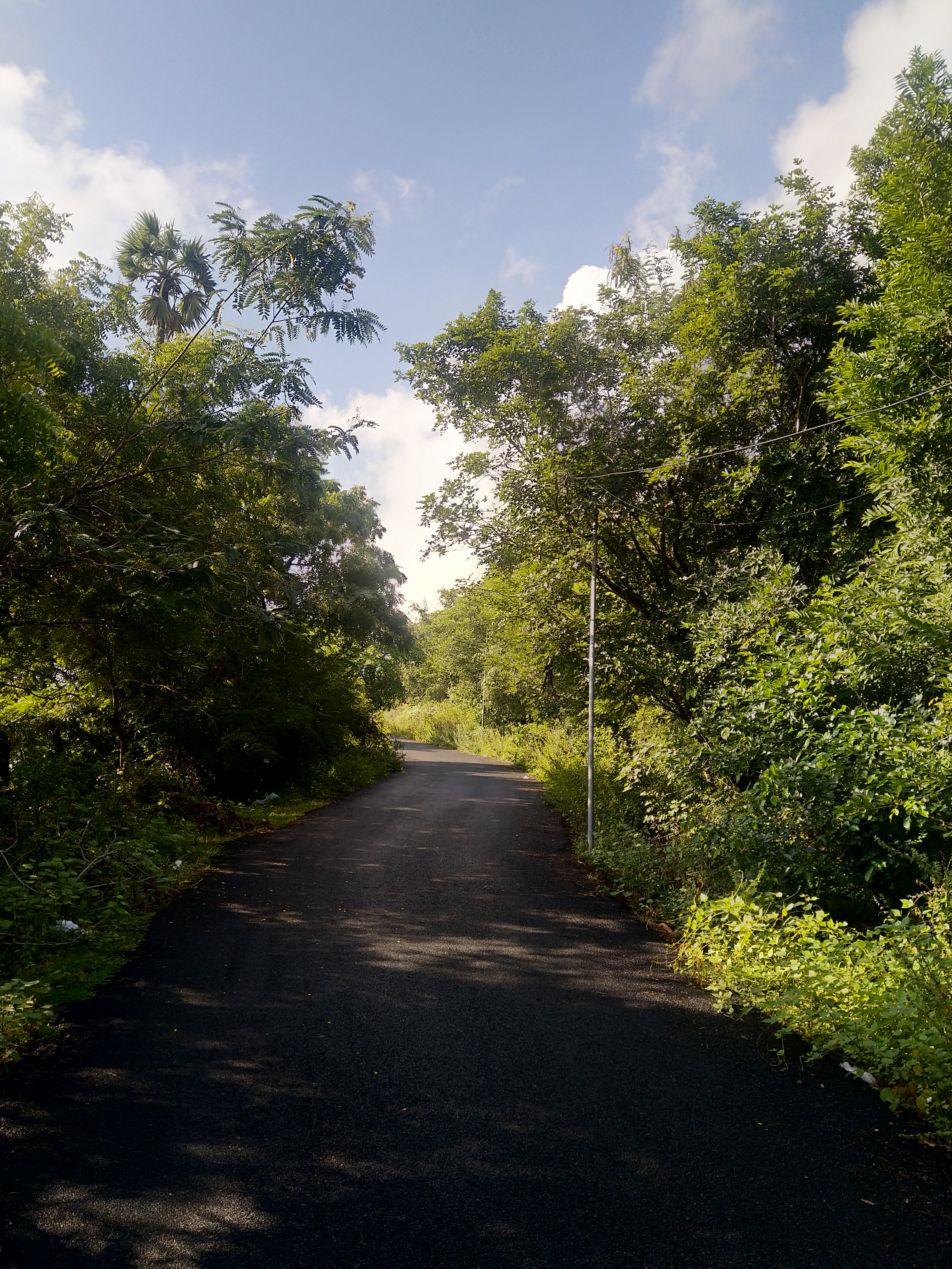 Cycling trail in chennai