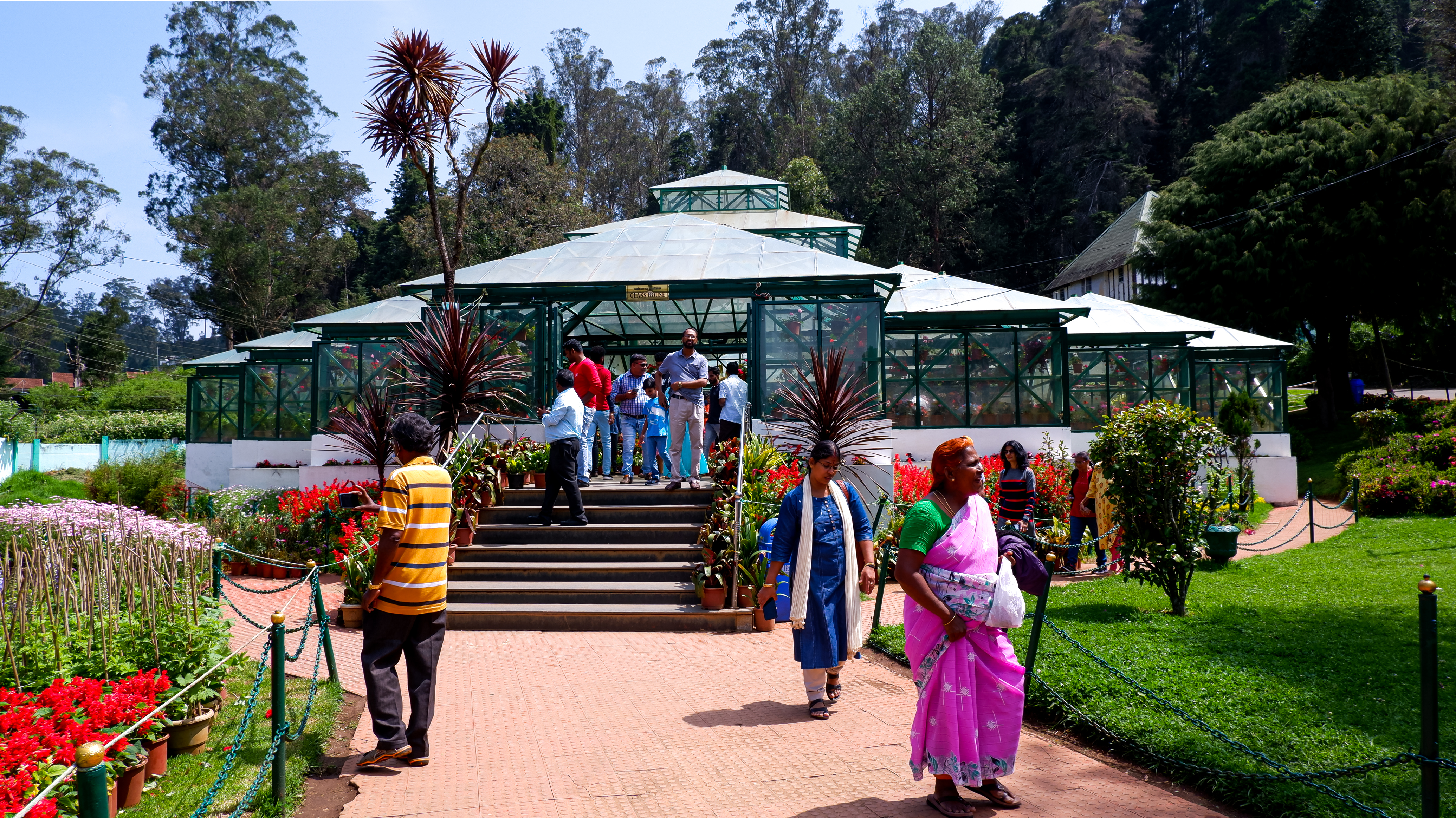 Ooty Botanical Garden green house