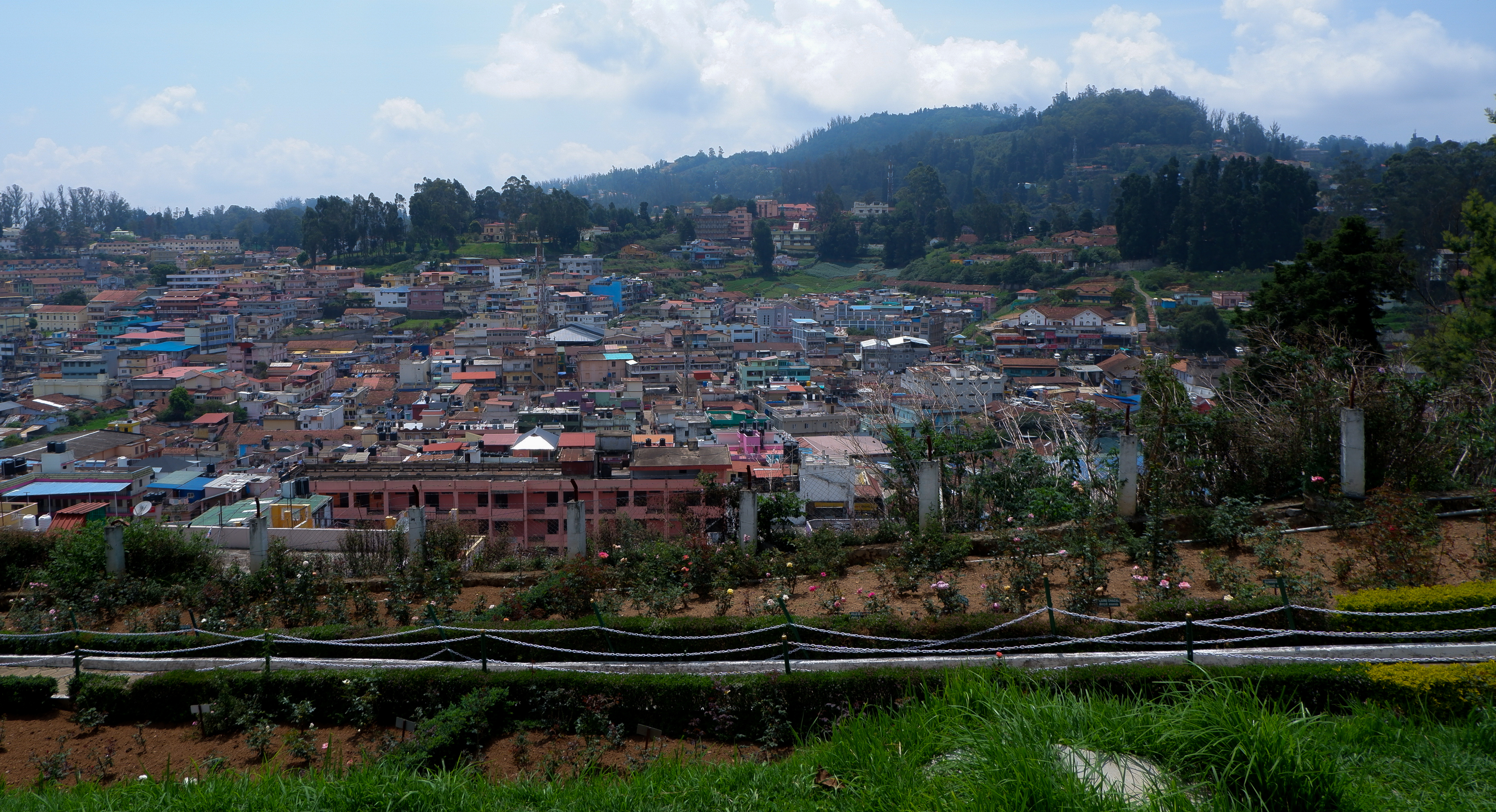 View from rose garden