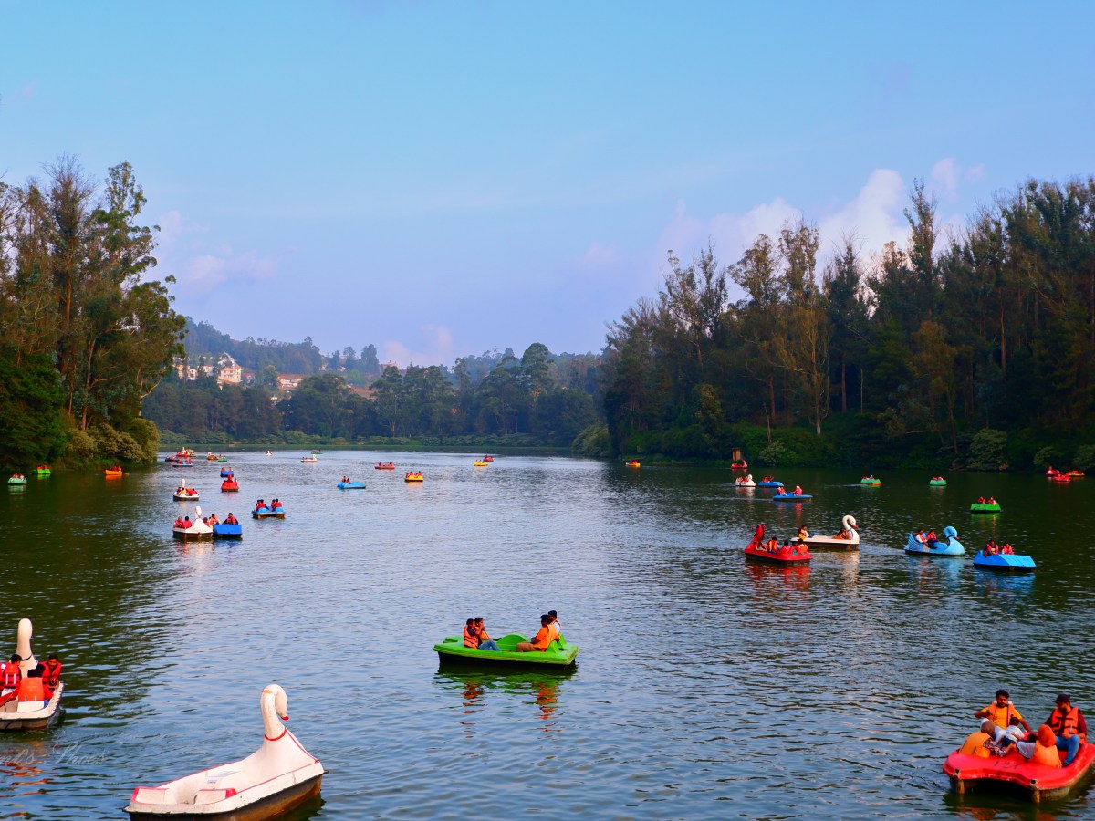 Ooty Boat House: A Festive Paradise with Scenic&nbsp;Views