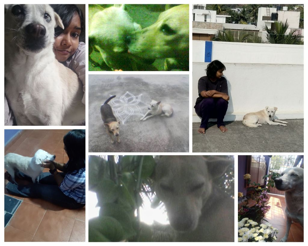 A Kid with No Soul And Dogs That Were Soulful –&nbsp;Poem