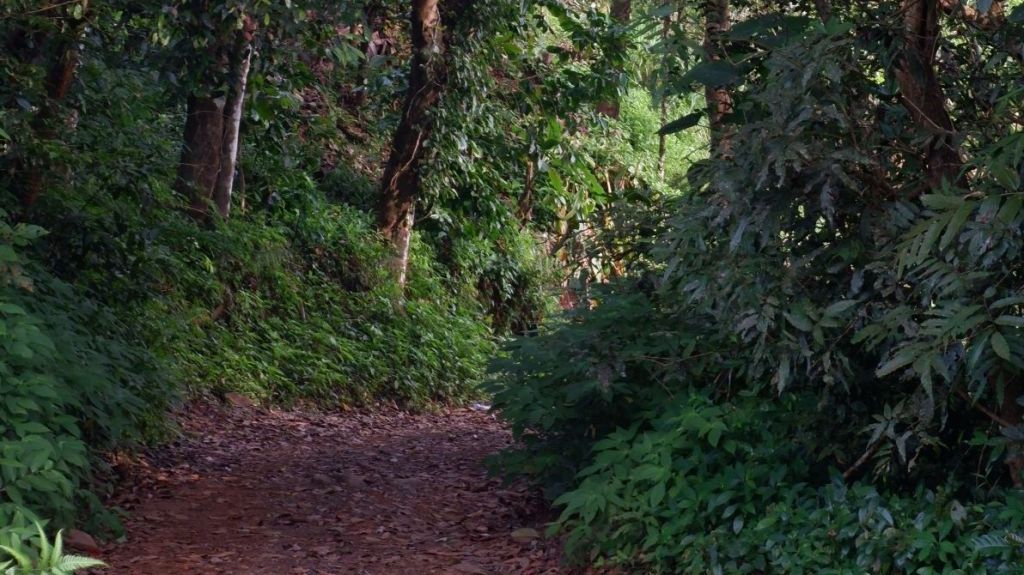 Kozhikode Girls Trip: Foggy Mountain Adventure, Food &&nbsp;Memories