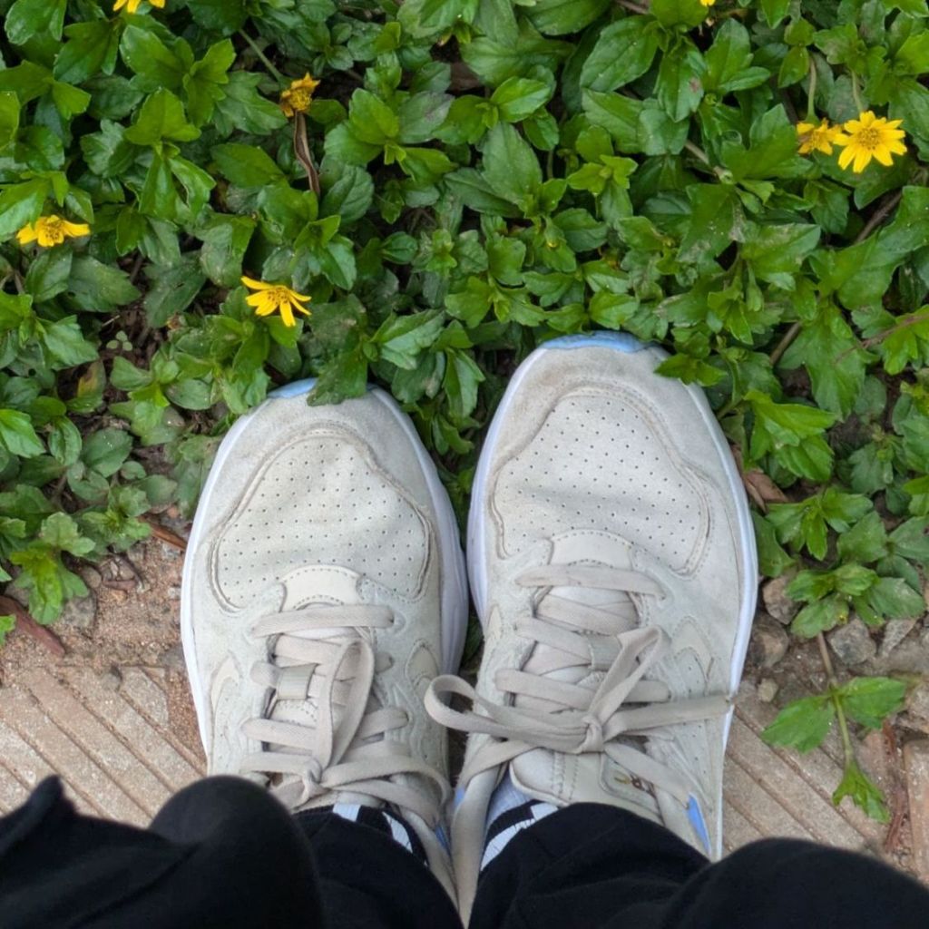 A Solivagant's Shoes