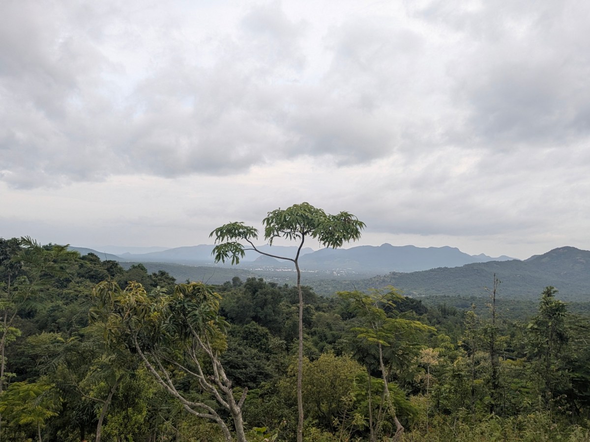 3 Days 2 Nights: Jawadhu Hills & Yelagiri Hills – First Solo Trip in&nbsp;2025