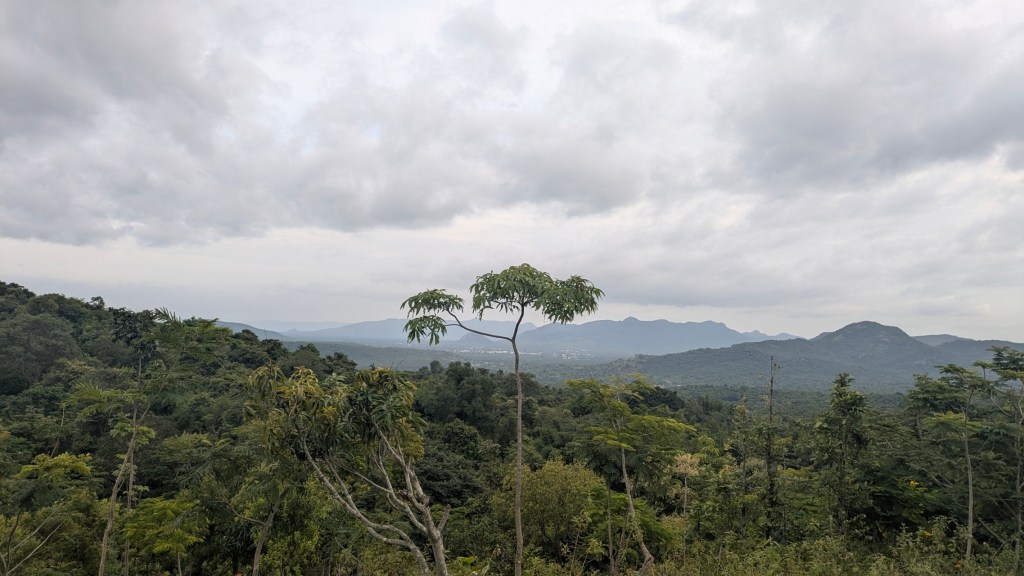 3 Days 2 Nights: Jawadhu Hills & Yelagiri Hills – First Solo Trip in&nbsp;2025