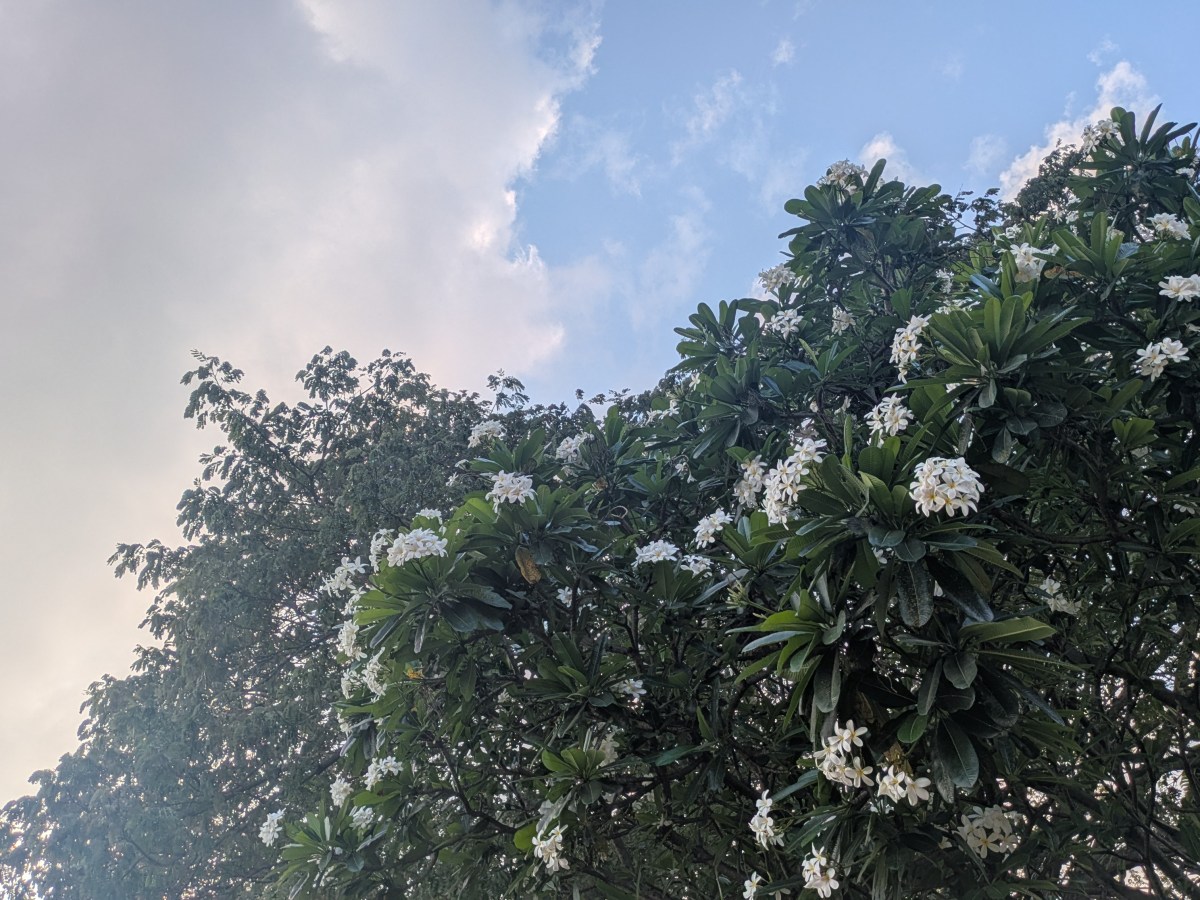 Handing Over the Baton to My 29th&nbsp;Self