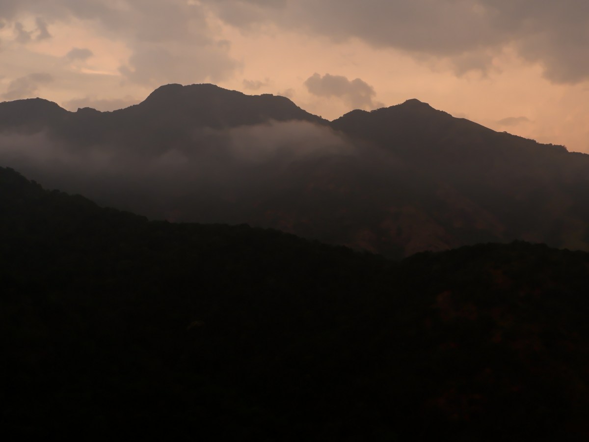 3 Days, 2 Nights: A Girls’ Trip to&nbsp;Wayanad