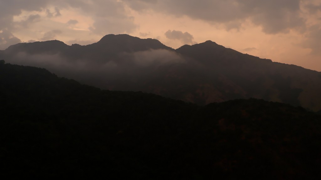 3 Days, 2 Nights: A Girls’ Trip to&nbsp;Wayanad